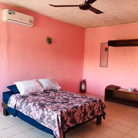 Posada 77 تولوم المظهر الخارجي الصورة