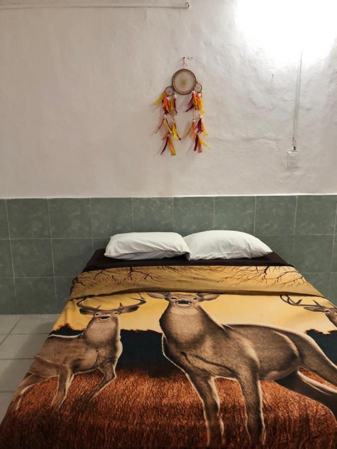 Posada 77 تولوم المظهر الخارجي الصورة