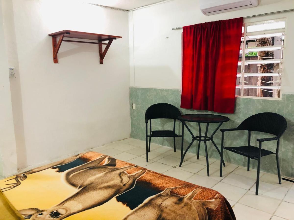 Posada 77 تولوم المظهر الخارجي الصورة