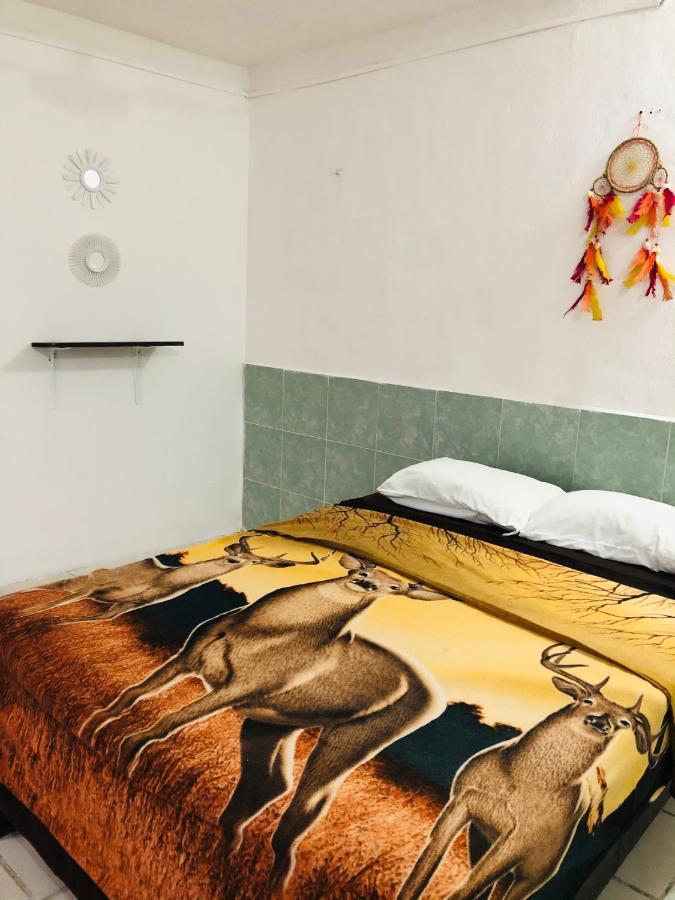 Posada 77 تولوم المظهر الخارجي الصورة